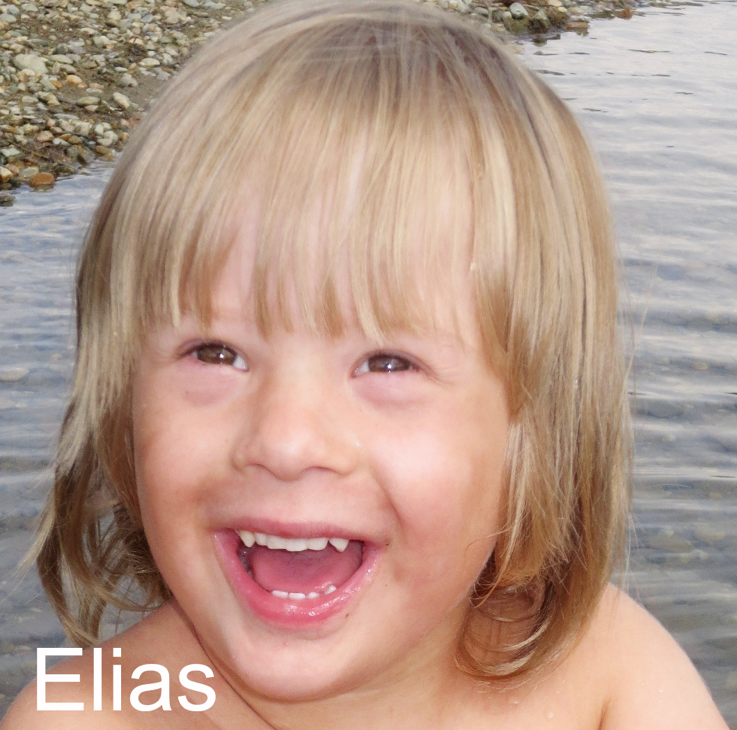 hp-Elias (2)